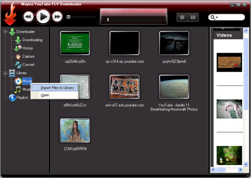 youtube flv downloader