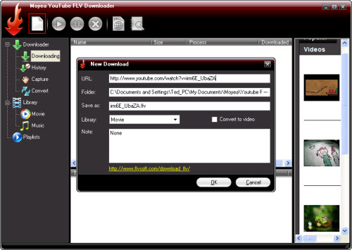 youtube flv downloader