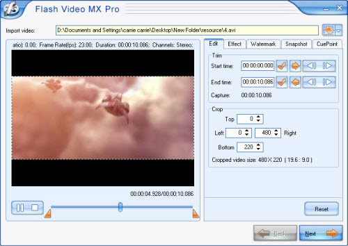 flash vide encoder main interface