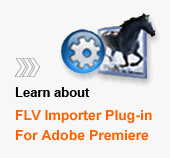 Learn about FLV Importer Plug-in For Adobe Premiere