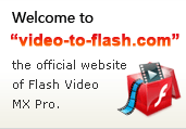 Video to Flash Video to Flash