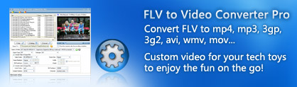 flv to video