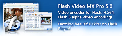 video to flash