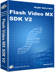 flash video server