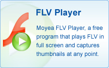 free flv player