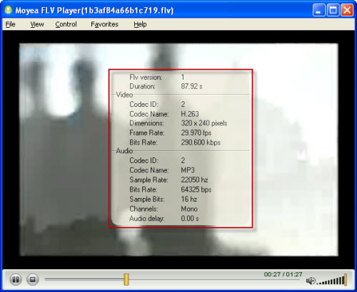view flv info 